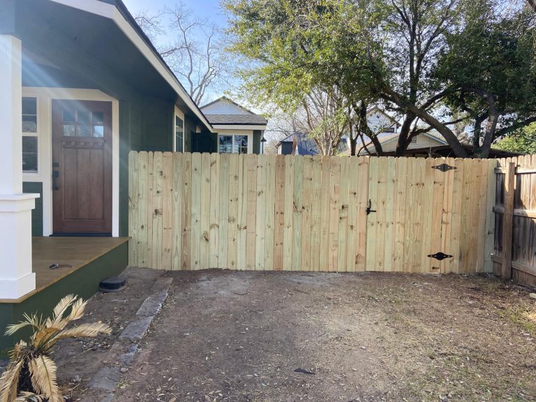 WhatsApp Image 2026-01-29 at 11.29